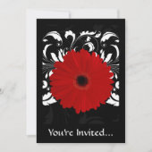 Bright Red Gerbera Daisy op zwart Kaart (Voorkant)