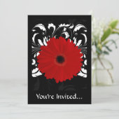 Bright Red Gerbera Daisy op zwart Kaart (Staand voorkant)