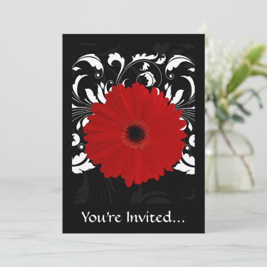 Bright Red Gerbera Daisy op zwart Kaart (Staand voorkant)