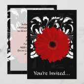 Bright Red Gerbera Daisy op zwart Kaart (Voorkant / Achterkant)