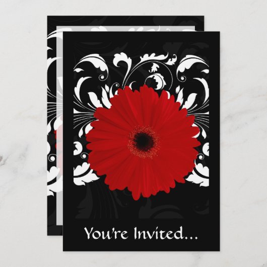 Bright Red Gerbera Daisy op zwart Kaart (Voorkant / Achterkant)