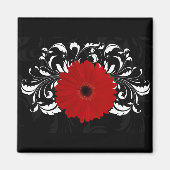 Bright Red Gerbera Daisy op zwart Magneet (Voorkant)