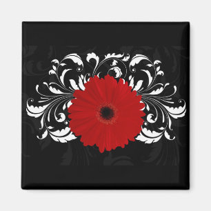Bright Red Gerbera Daisy op zwart Magneet