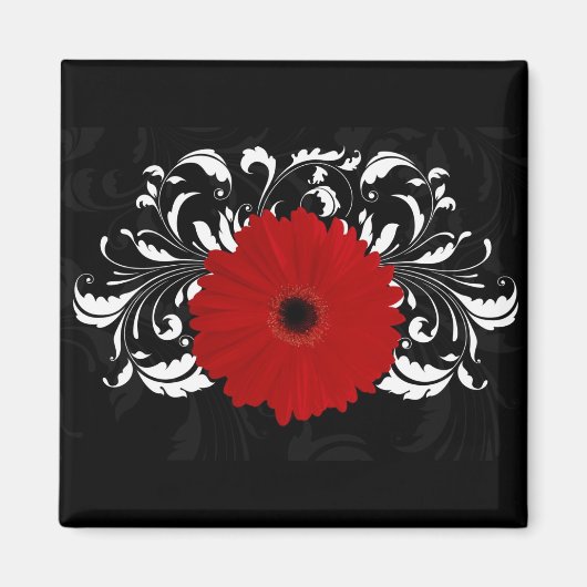 Bright Red Gerbera Daisy op zwart Magneet (Voorkant)