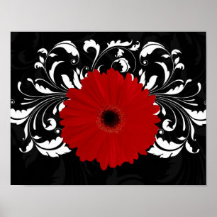 Bright Red Gerbera Daisy op zwart Poster