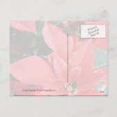 Bright Red Kerstmis Poinsettia Feestdagenkaart (Achterkant)