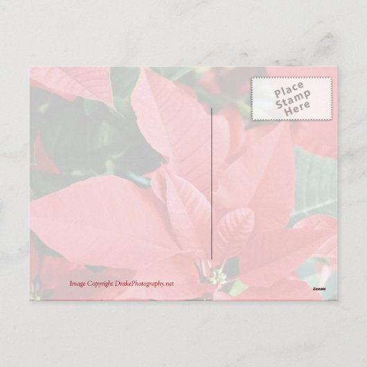 Bright Red Kerstmis Poinsettia Feestdagenkaart (Achterkant)