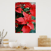 Bright Red Kerstmis Poinsettia Poster (Keuken)