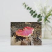 Bright Red Mushroom #1 Briefkaart (Staand voorkant)