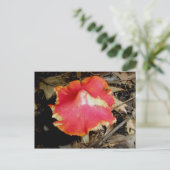 Bright Red Mushroom Briefkaart (Staand voorkant)