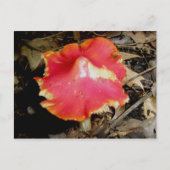 Bright Red Mushroom Briefkaart (Voorkant)