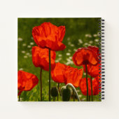 Bright Red Poppy Field Notitieboek (Achterkant)