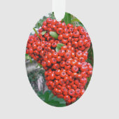 Bright Red Pyracantha Berries Ornament (voorkant)