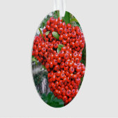Bright Red Pyracantha Berries Ornament (voorkant)
