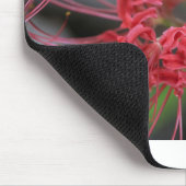 Bright Red Spider Lily - Lycoris radiata Muismat (Hoek)