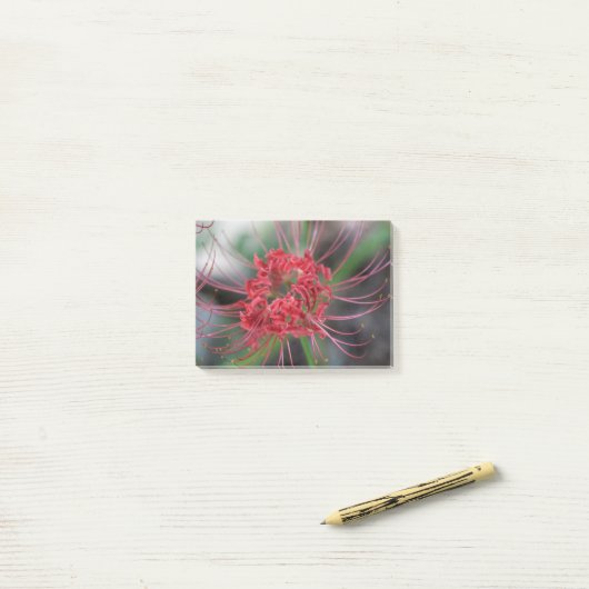 Bright Red Spider Lily - Lycoris radiata Post-it® Notes (Op bureau)