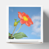 Bright Red Strawberry Blossom Flower Bedankdoosjes (Bovenkant)