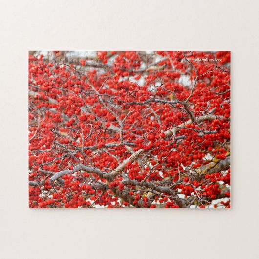 Bright Red Winterberries Holly Tree Berries Legpuzzel (Horizontaal)