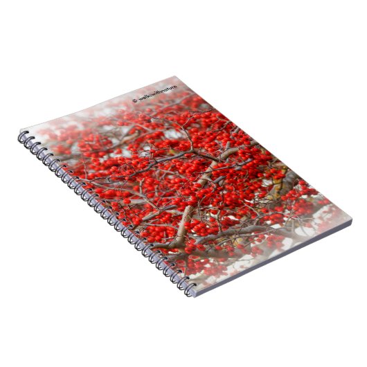 Bright Red Winterberries Holly Tree Berries Notitieboek (Rechterzijde)