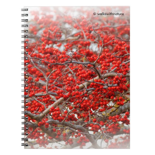 Bright Red Winterberries Holly Tree Berries Notitieboek (Voorkant)