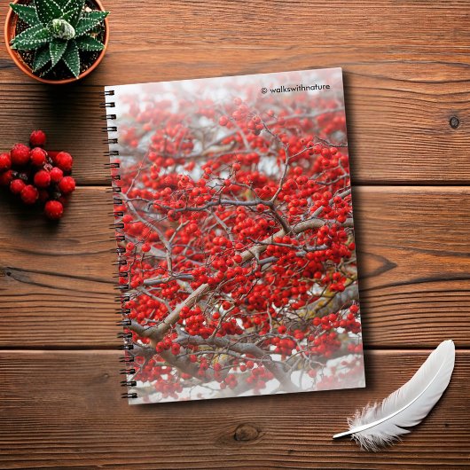 Bright Red Winterberries Holly Tree Berries Notitieboek