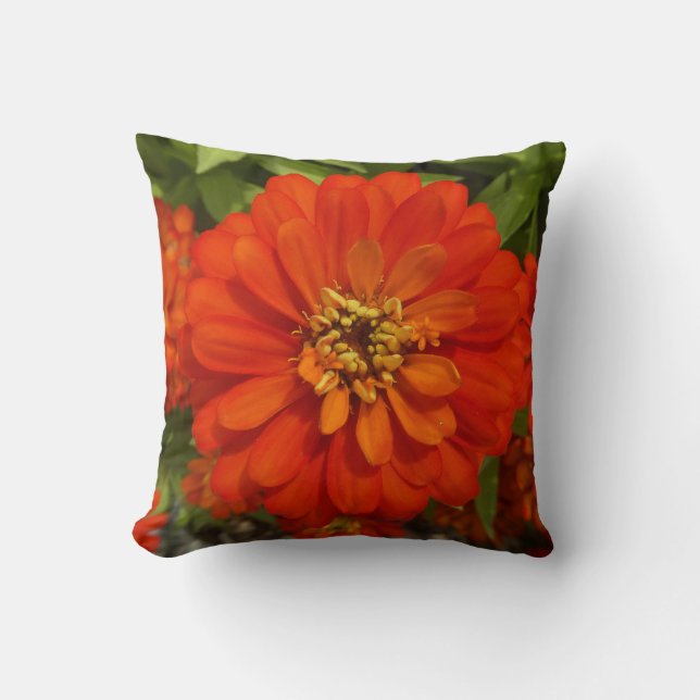 Bright Red Zinnia Trend  Kussen (Voorkant)
