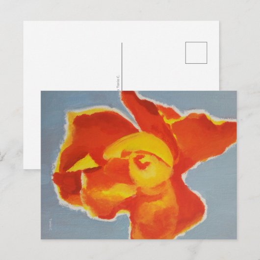 Bright Rose Sympathy Card Briefkaart (Voorkant / Achterkant)