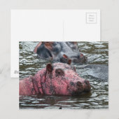 Bright Roze Hippo Briefkaart (Voorkant / Achterkant)