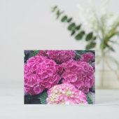 Bright roze hydrangea Flowers Briefkaart (Staand voorkant)