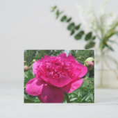 Bright roze pony ventilator briefkaart (Staand voorkant)