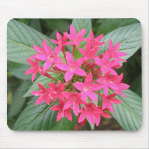 Bright roze tropische bloemen Mousepad Muismat