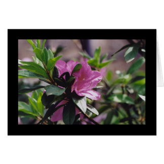 Bright roze ventilator