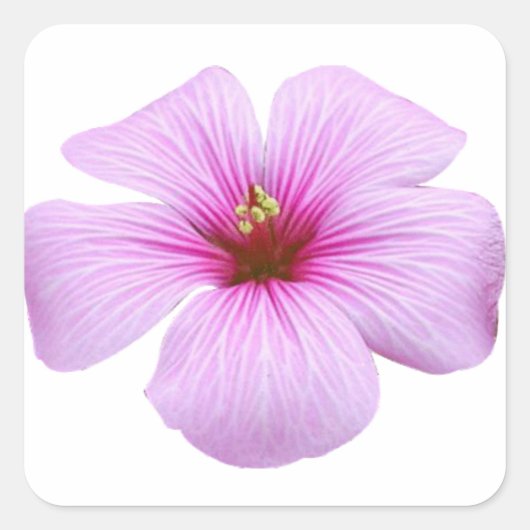 Bright roze ventilator vierkante sticker (Voorkant)