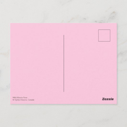 Bright roze Wild Alberta Roos Canada - Aangepaste  Briefkaart (Achterkant)