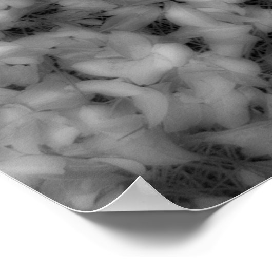 Bright schaduwen afdrukken poster (Hoek)