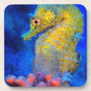 Bright Seahorse Hippocampus Drankjes Onderzetter