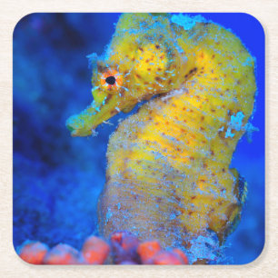 Bright Seahorse Hippocampus Kartonnen Onderzetters