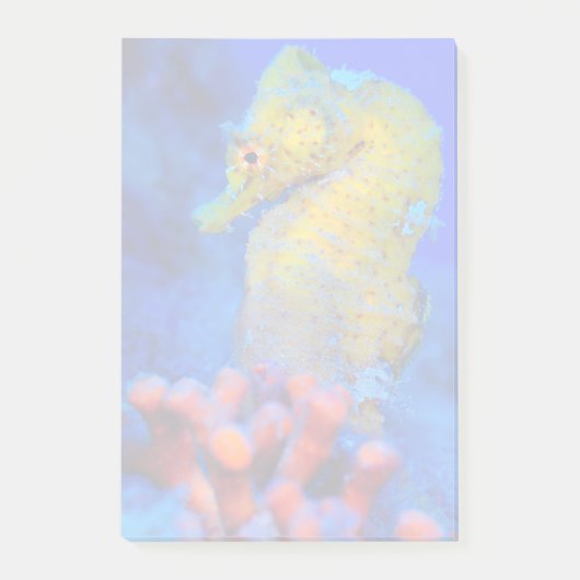 Bright Seahorse | Hippocampus Post-it® Notes (Voorkant)