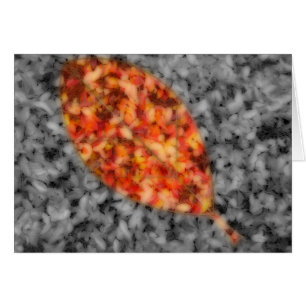 Bright Shadows Kaart