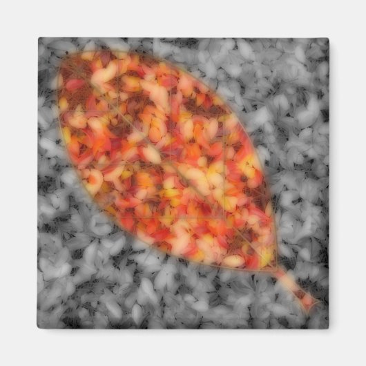 Bright Shadows Magnet (Voorkant)