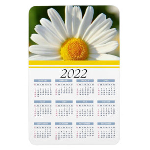 Bright Shasta Daisy   Kalender Floral Calendar Mag Magneet