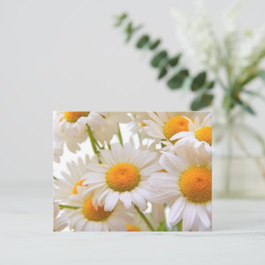 Bright Summer Daisies Flowers Briefkaart (Staand voorkant)