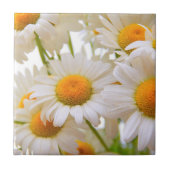 Bright Summer Daisies Photo Tegeltje (Voorkant)