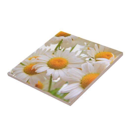 Bright Summer Daisies Photo Tegeltje (Zijkant)