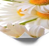 Bright Summer Daisies Poster (Hoek)