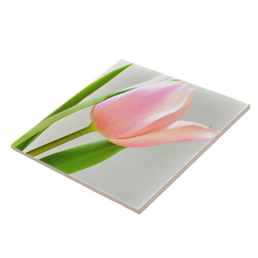 Bright Tulip Tegeltje (Zijkant)