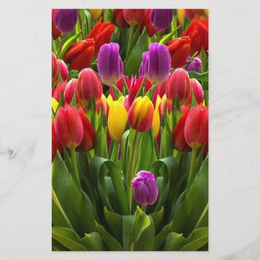 Bright Tulpen Briefpapier (Voorkant)