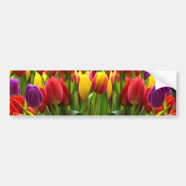 Bright Tulpen Bumpersticker
