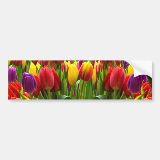 Bright Tulpen Bumpersticker (Voorkant)