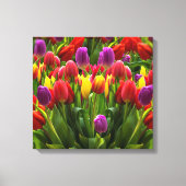 Bright Tulpen Canvas Afdruk (Voorkant)